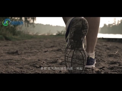 シェンzhen CKD 精密機械・電気株式会社